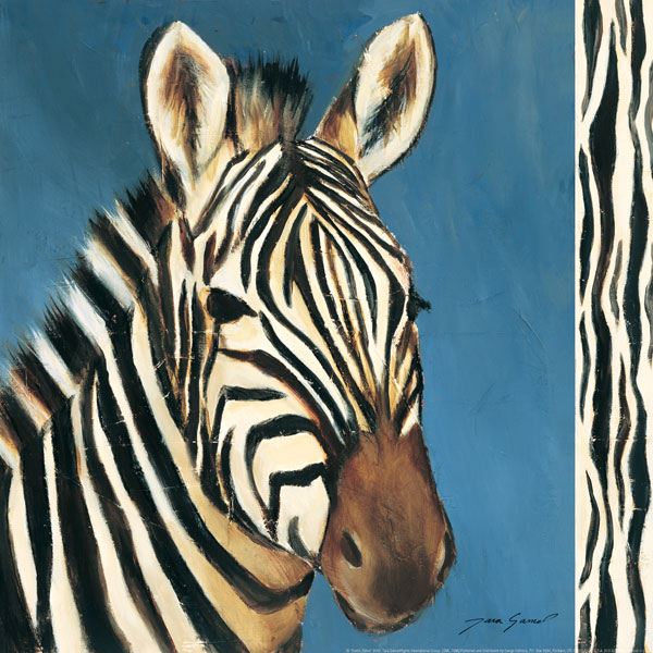 Exotic Zebra