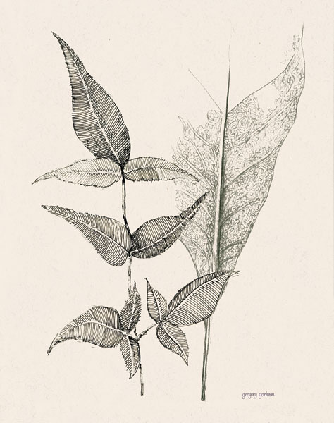 Plant Life I