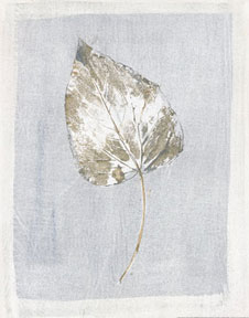 Winter Leaf II