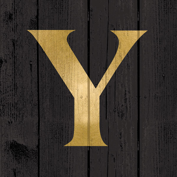 Gold Alphabet Y