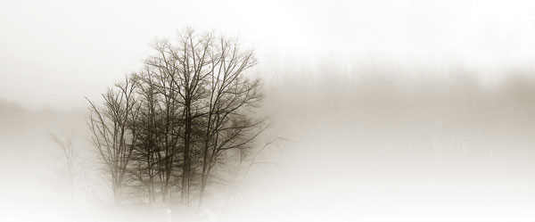 In the Mist II