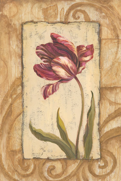 Classic Tulip II
