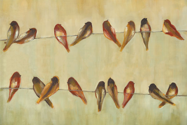 Birds of a Feather