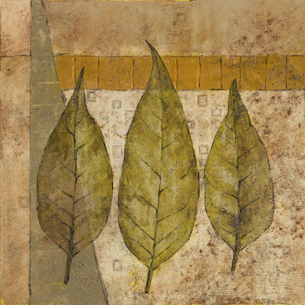 Nature Study 2
