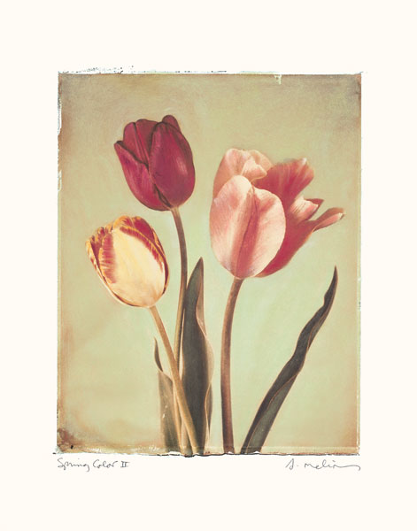 Spring Color II