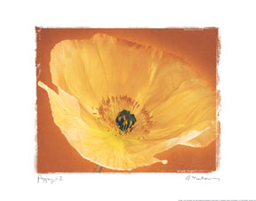 Poppy I