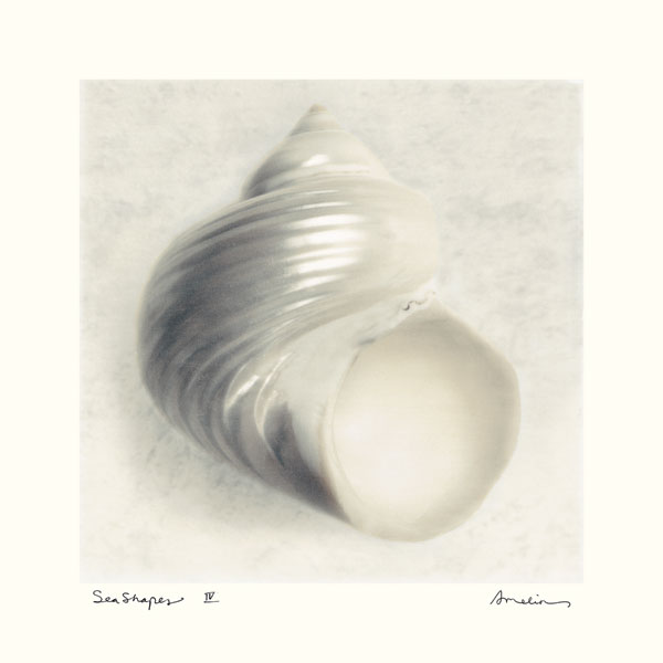 Sea Shapes IV