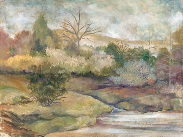 Placid Waters I