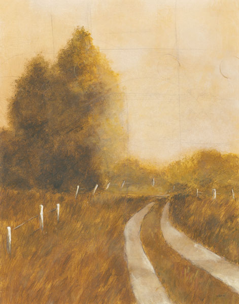 Traveled Path II