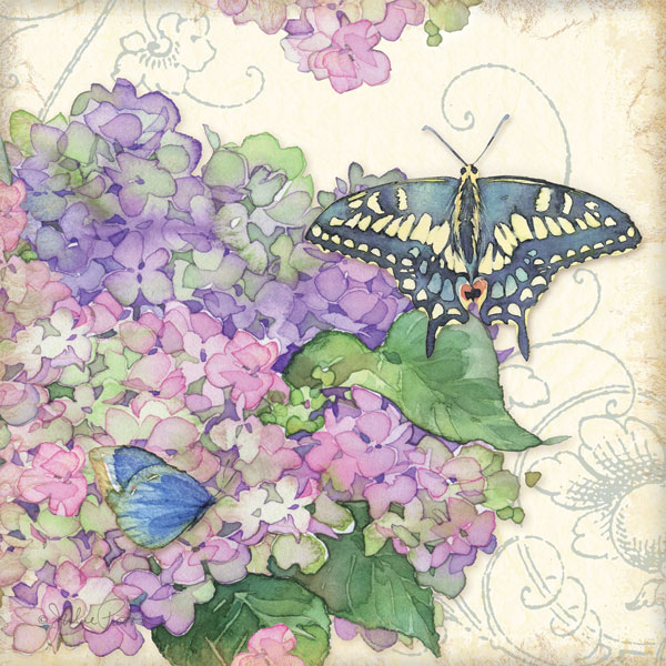 Hydrangea & Butterflies