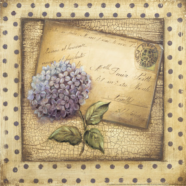 Paris Hydrangea