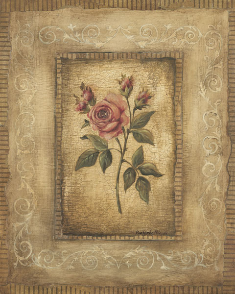 Grand Savin Rose