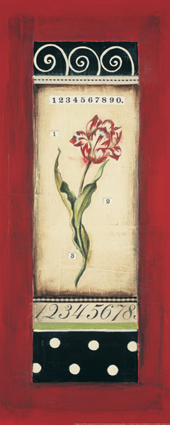 Belgian Tulip I
