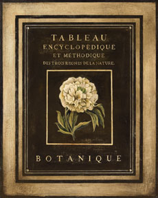 Les Fleurs de Paris II