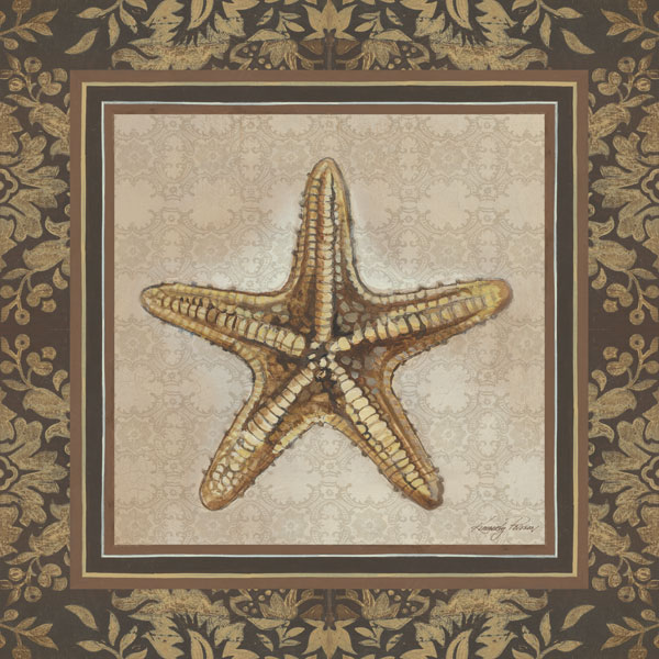 Shell Elegance IV