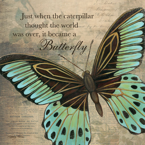 Butterfly II