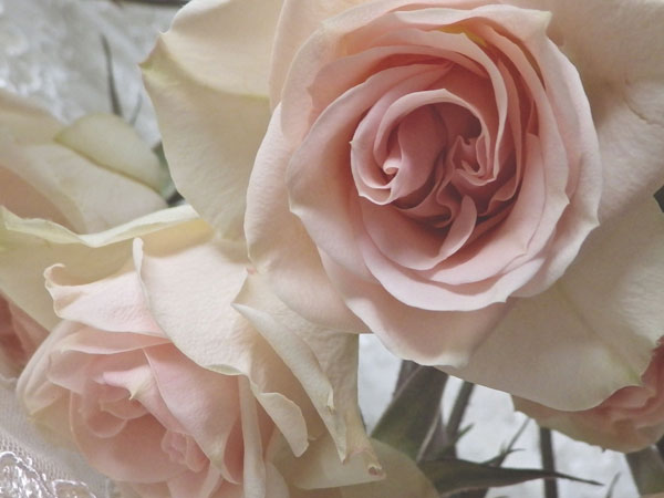 Summer Romance II