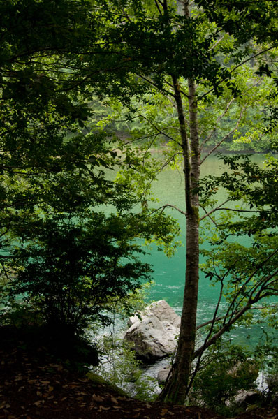 Secret Swimming Hole