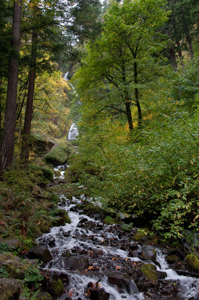 Wahkeena Falls III