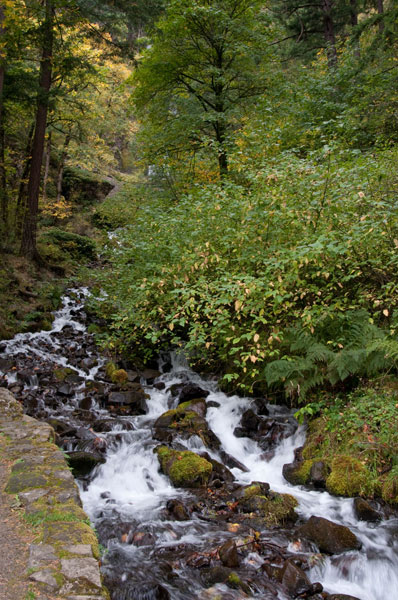 Wahkeena Falls IV