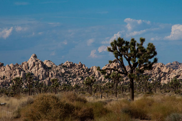 Rock Formations I