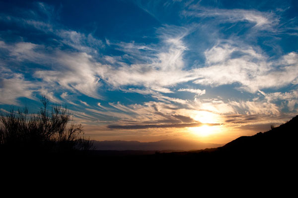 Sunset in Joshua Tree III