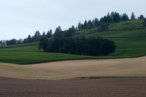 Dayton, Oregon II