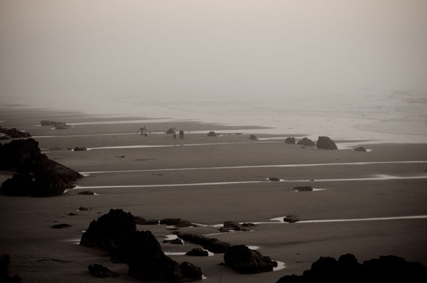 Beach at Seal Rock I