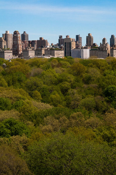 Central Park I