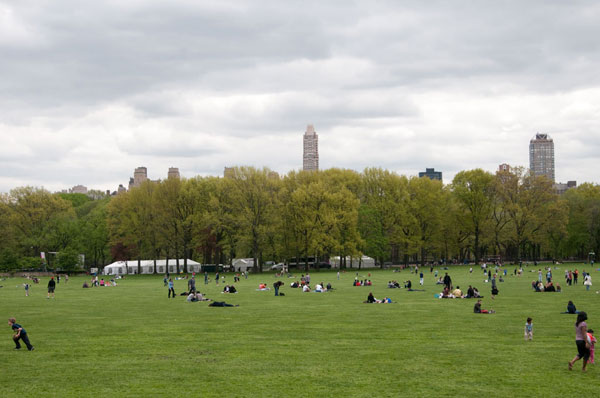 Spring in Central Park