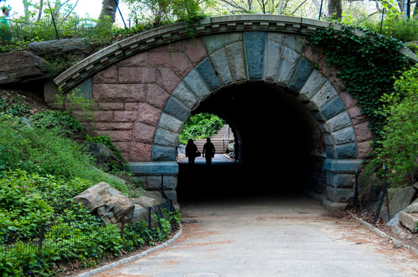 Bridge in Central Park