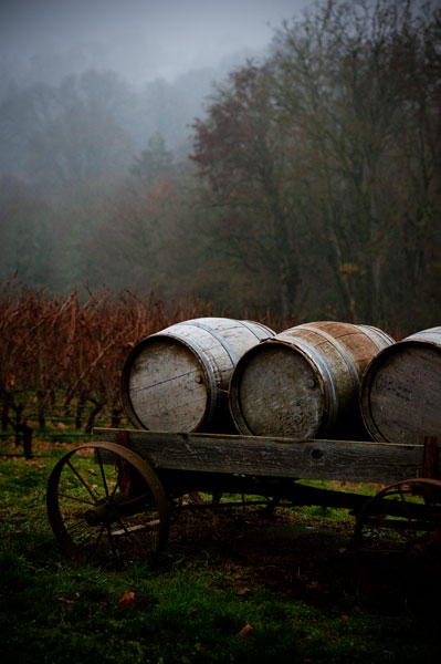 Oregon Wine Country II
