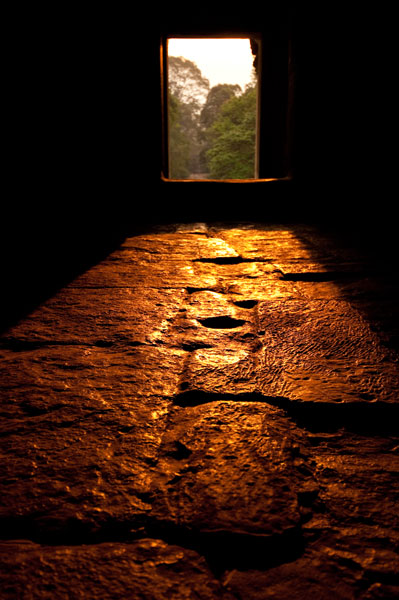 Morning Light II