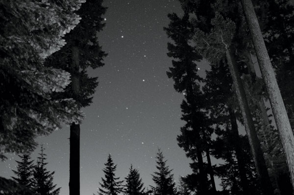 BW Starry Night I