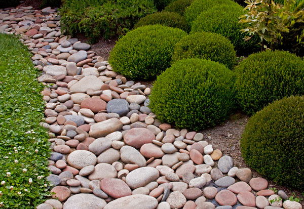 Garden Glimpse VII