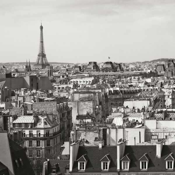 Paris Rooftops X