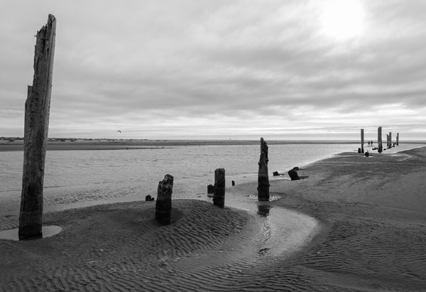 Pacific Beach BW