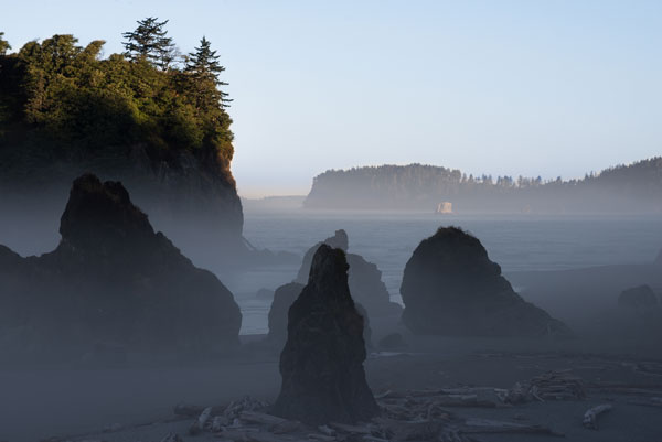 Ruby Beach Morning III