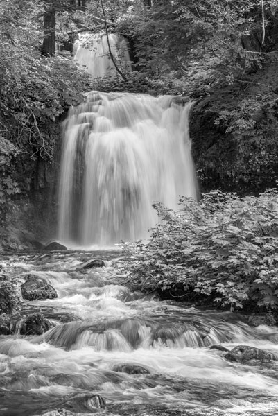 Twin Falls BW