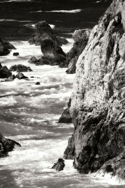Garrapata Highlands 7 BW