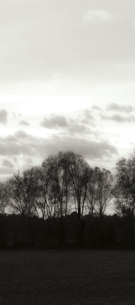 Winter Sunset BW III