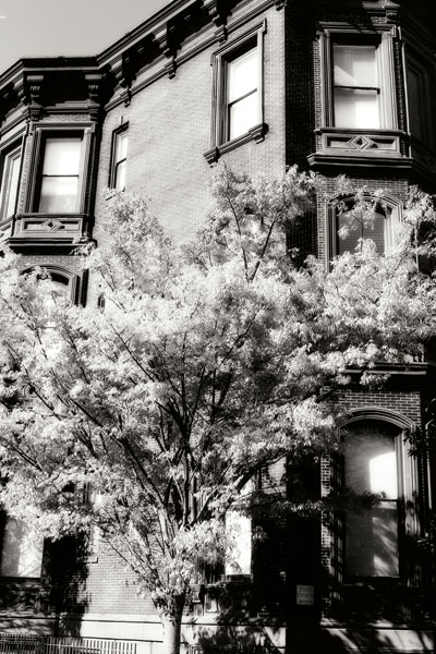 Main Street Elegance I