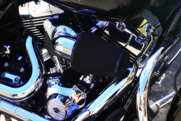 Black Beauty II