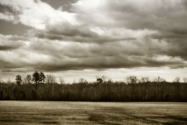 Winter Fields III