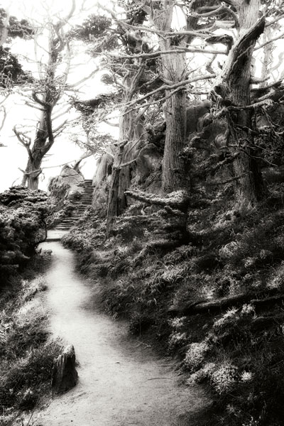 North Point Pathway I