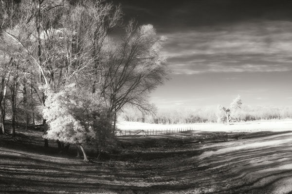 Dry Creek I