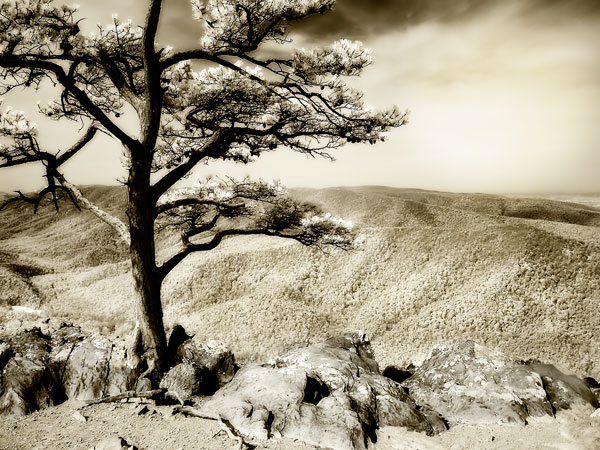 Lone Pine II
