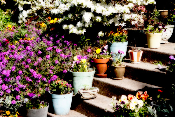 Sidewalk Spring II