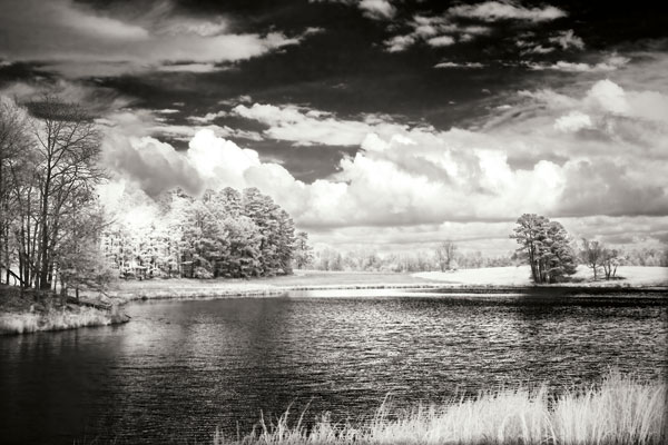 Shearon Lake IV
