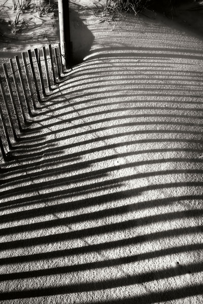 Dunes Fence V